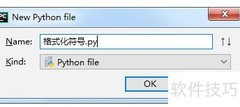格式化符号详解