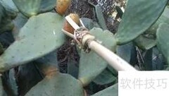冰凌花手工制作教程