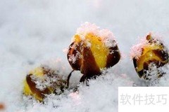 冰凌花的象征意义