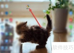 五笔打字入门：电脑练习指南