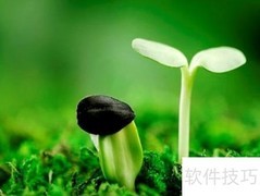 高效打字练习方法