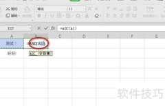 WPS Excel中ASC函数用法