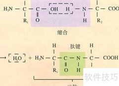 QSAQPA的含义解析