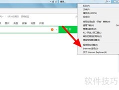 360锁定IE主页无法修改