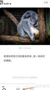 中草药图鉴：野草识别指南