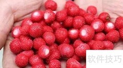 野草莓的美味吃法推荐