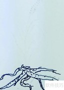 钢笔画教程：优雅野草