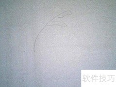简笔画野草教程