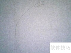 简笔画野草教程