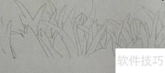 钢笔画野草技法详解