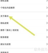 摩点查找方法