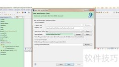 Web动态报表制作指南