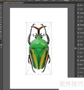 Illustrator图片转矢量技巧