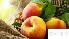 自酿苹果酒：超简单入门法