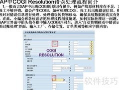 SAP COGI错误处理流程