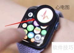 Apple Watch心电图功能位置