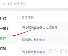 医保诊疗项目目录查询指南