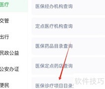 医保诊疗项目目录查询指南