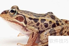 中国蛙类图鉴