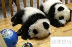 中国大熊猫团体认养指南
