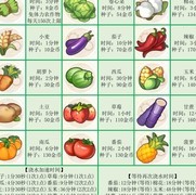 悠长假期时间管理全攻略