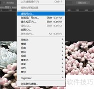 PS中如何为同一图像叠加多个滤镜