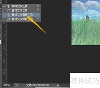 PSCC图像融合文字设置方法