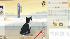 凌云诺宠物放生方法