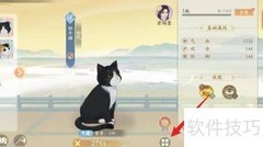凌云诺宠物放生方法