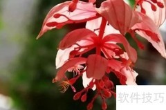 宝莲灯：神话经典赏析