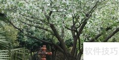 西南石油大学天气应对指南