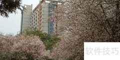 西南石油大学天气应对指南