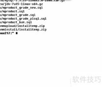 Linux下快速查找大文件