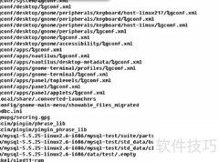Linux下快速查找大文件