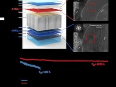 武大王植平团队突破钙钛矿电池效率与稳定性协同瓶颈