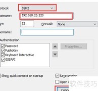 Unix远程终端访问指南