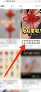 中国结编织教程视频
