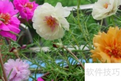 喇叭塔玛哑巴绕口令