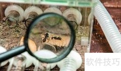 高二语文高效学习法