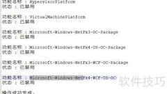 Win10预览版.NET启用失败