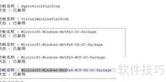 Win10预览版.NET启用失败