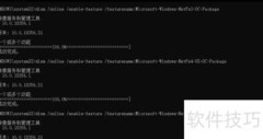 Win10预览版.NET启用失败