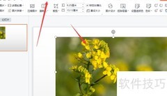 幻灯片中快速更换图片形状