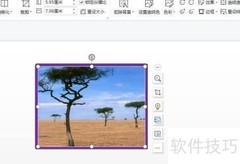 幻灯片中为图片添加边框