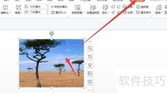 幻灯片中为图片添加边框