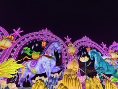 科技赋能夜游升级 ——厦门园博苑灯会打造沉浸式光影互动新体验