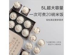 美的银钻智能预约电饭煲