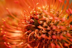 轻便入门之选 尼克尔 Z 24-105mm f/4-7.1镜头评测