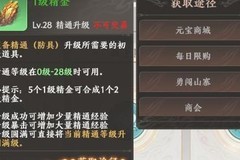 天龙八部2：飞龙战天装备精通攻略