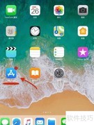 iPad程序自动更新设置指南